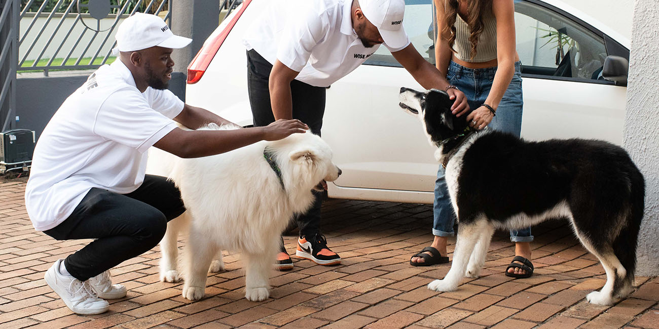 Caring Pet Transport Service across South Africa