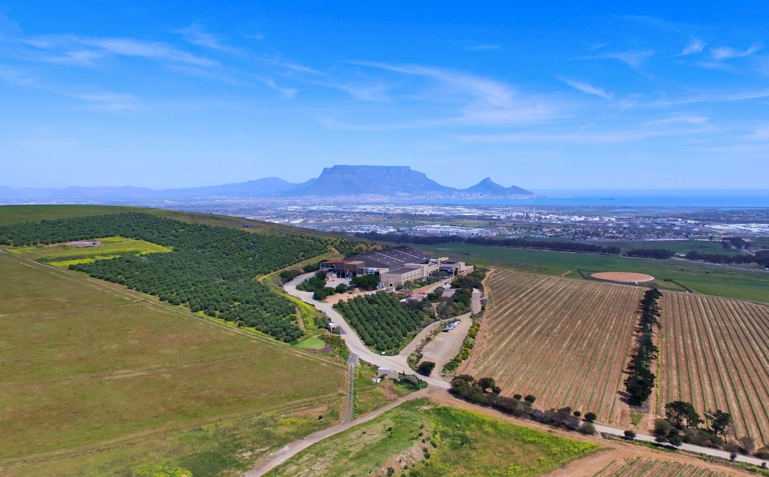 Moving to Cape Town After 40 | Why and Where People Are Going