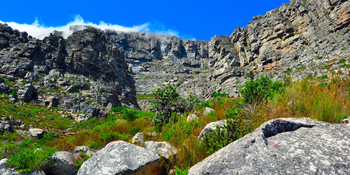 Hiking Table Mountain