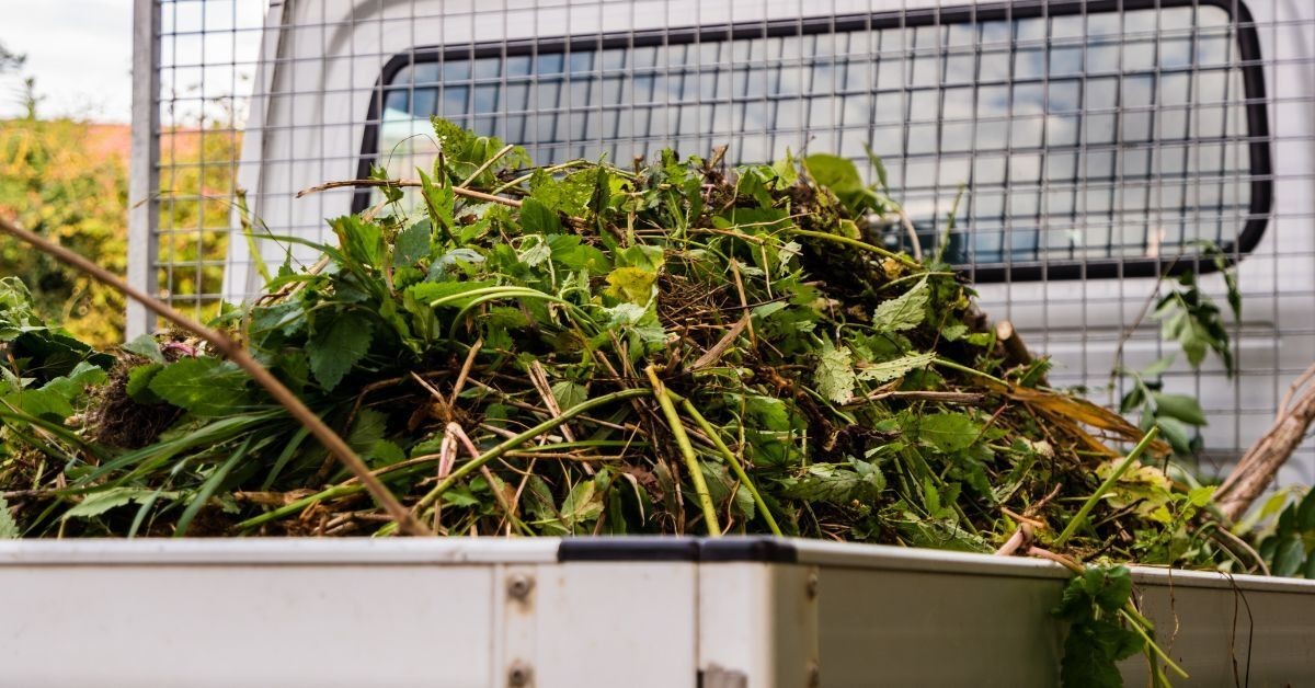 Garden Refuse Removal Top Companies Near Me