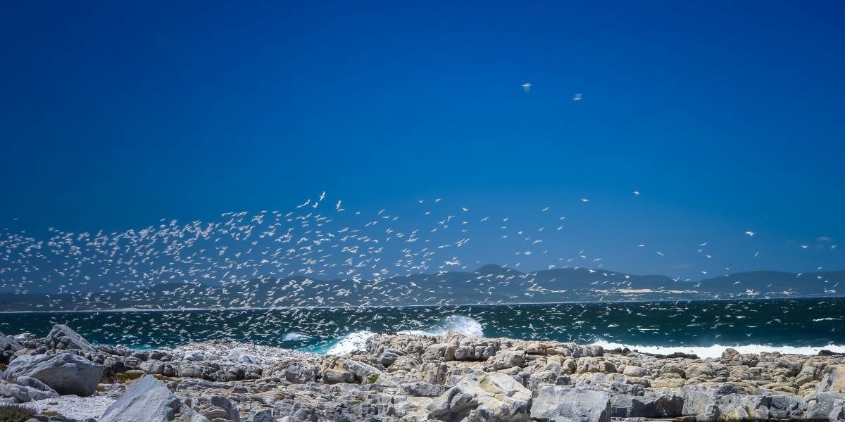 Best Places to Live in South Africa West Coast