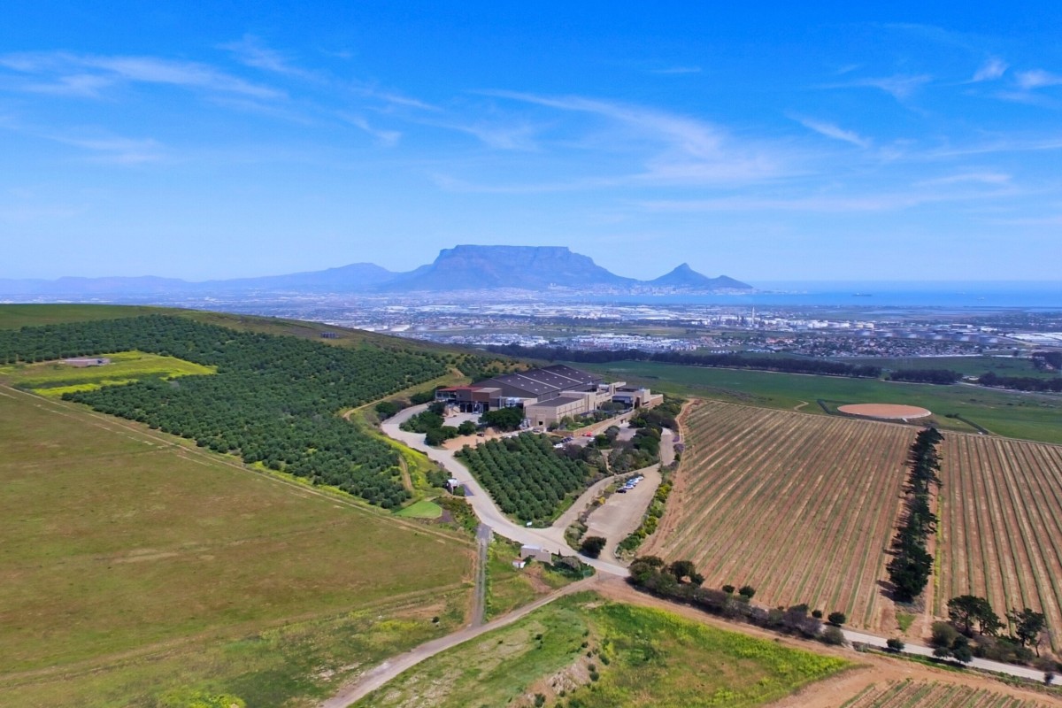 Moving to Cape Town After 40 | Why and Where People Are Going