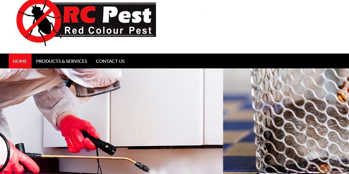 Top Pest Control Services in South Africa 2024