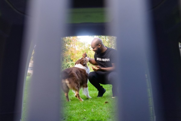 Flying with Pets | What You Need to Know