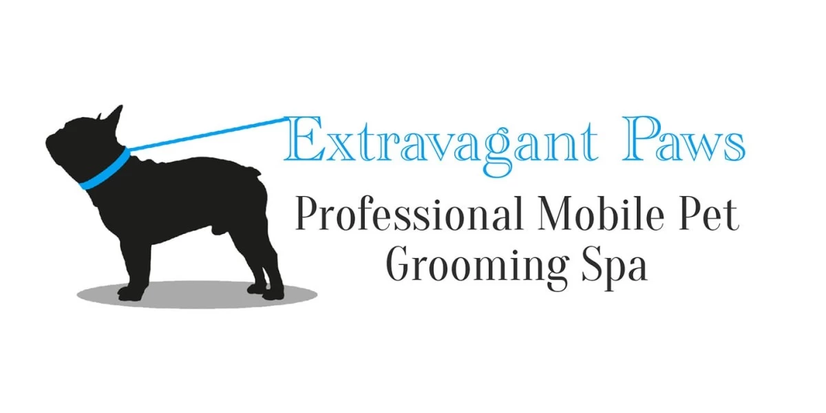 Extravagant Paws Pet Grooming Pretoria