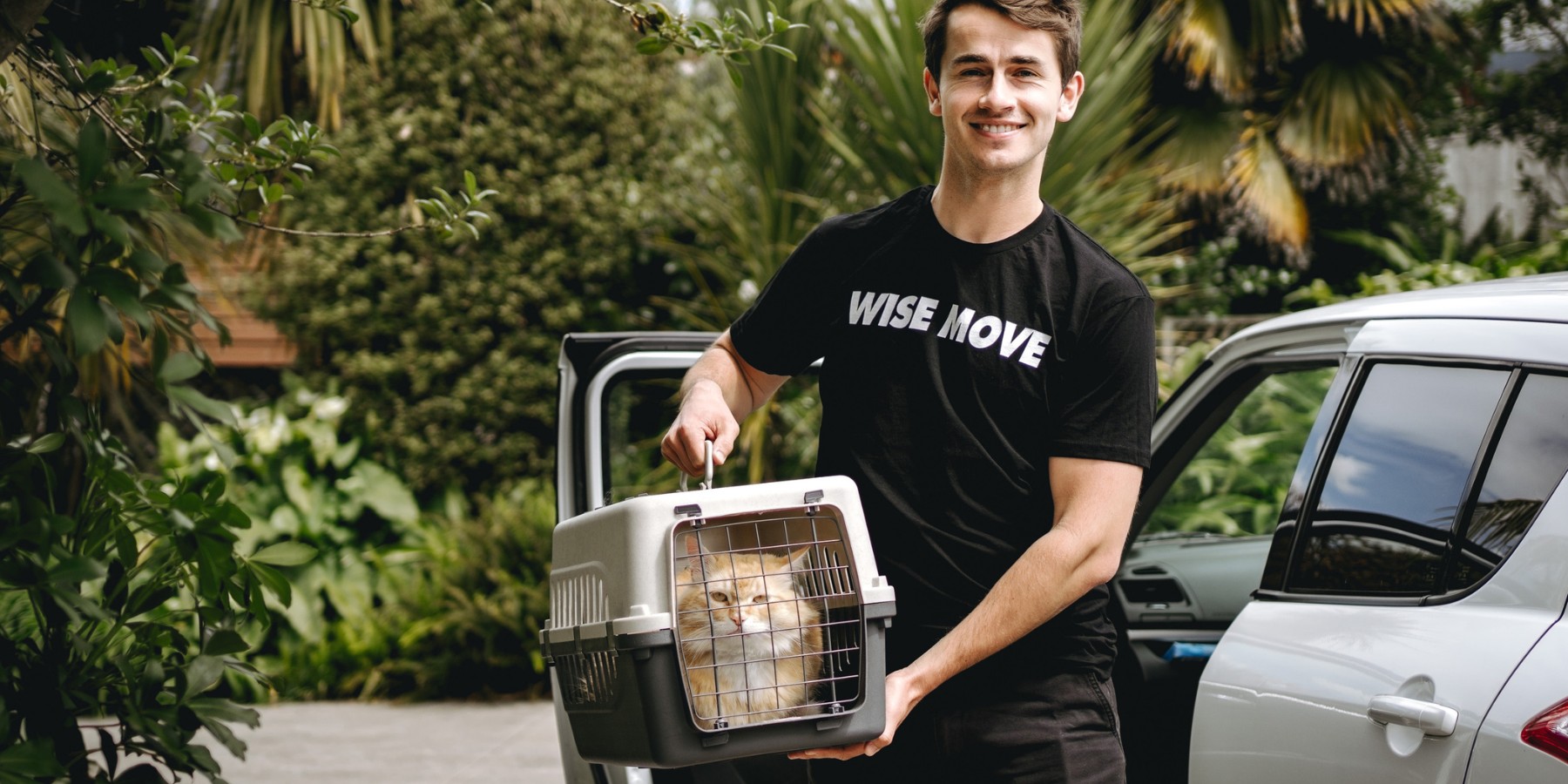 Moving with Cats | 10 Tips for a Purrfect Move