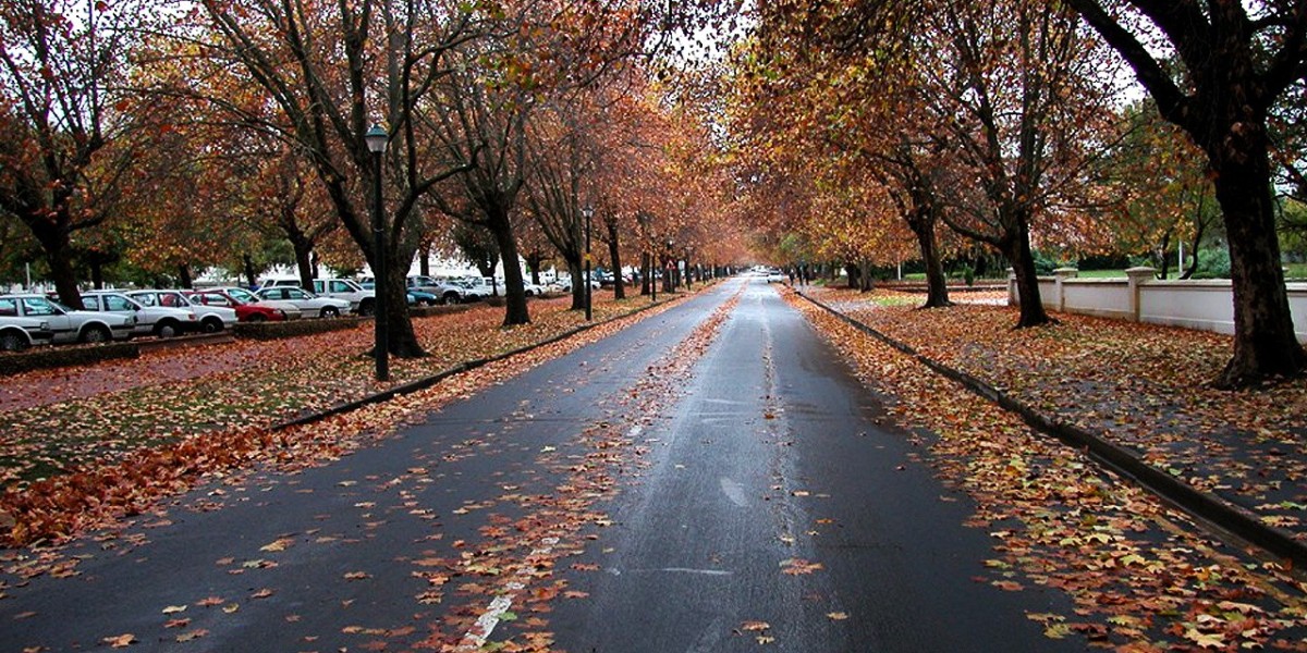Victoria Street, Stellenbosch