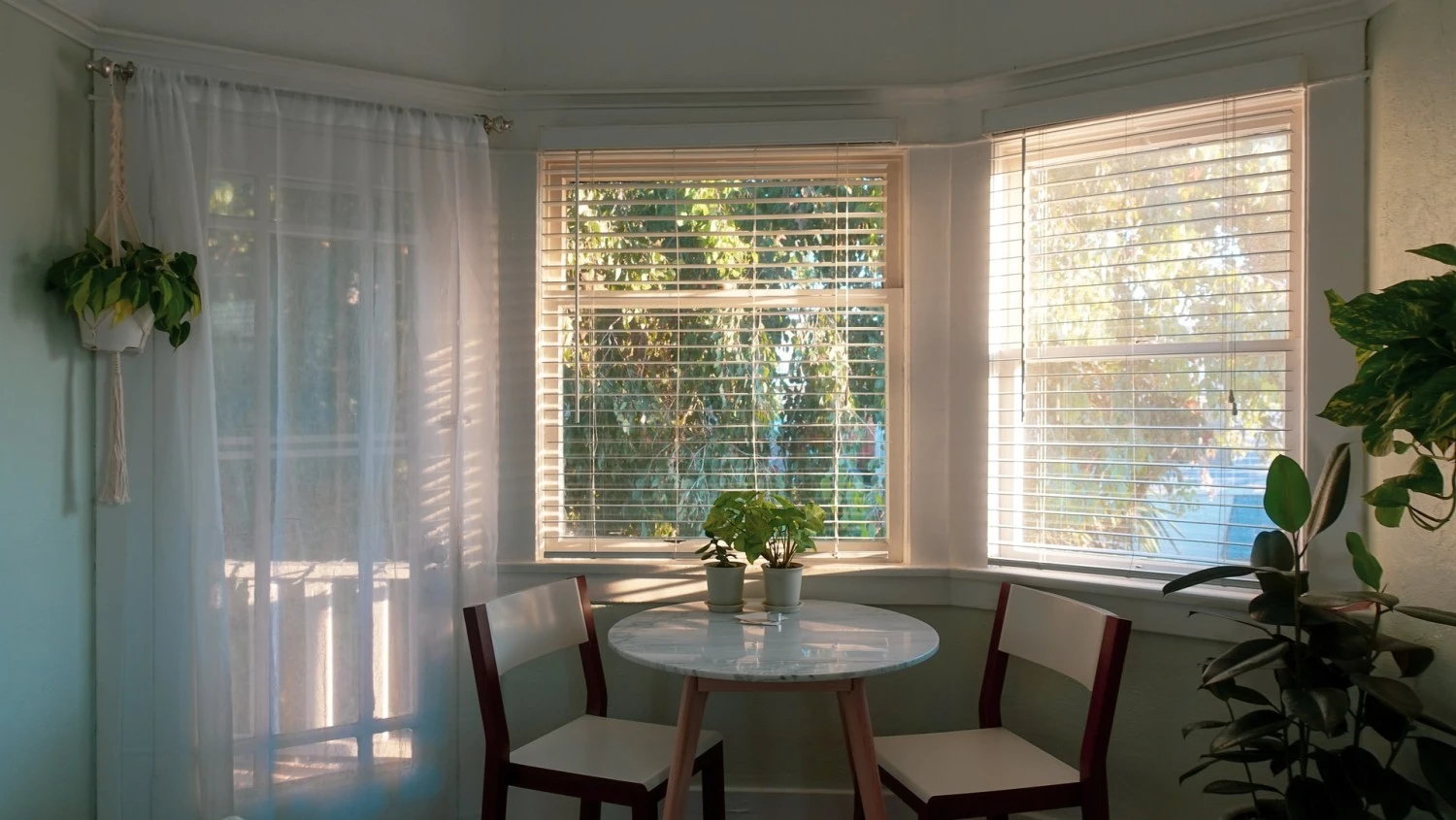Curtains vs Blinds | Which Should You Choose?