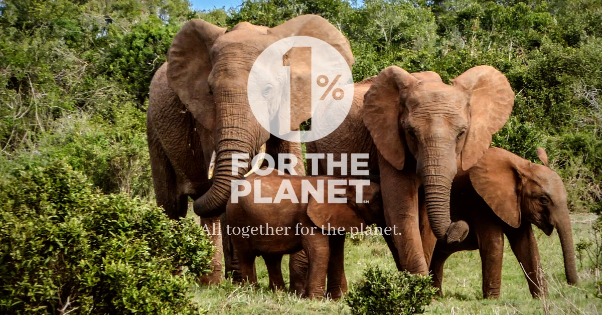 1% for the Planet | How South Africans Can Get Involved