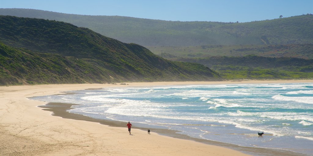 Best Beaches in South Africa