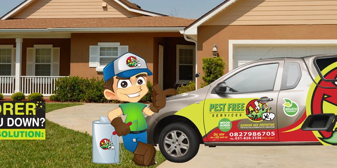Pest Control Services Durban