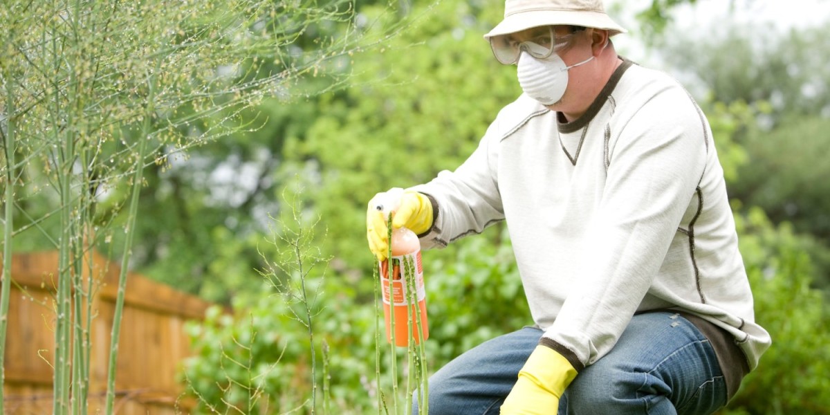 Top Pest Control Services in South Africa - Complete List 2022