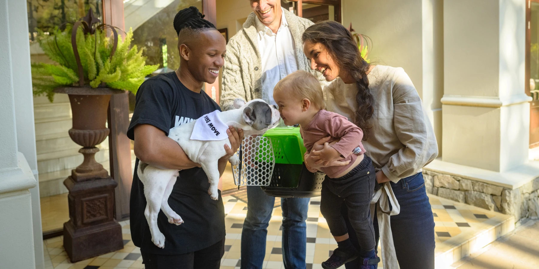 Guide to Pet Adoption in South Africa | What You Need to Know