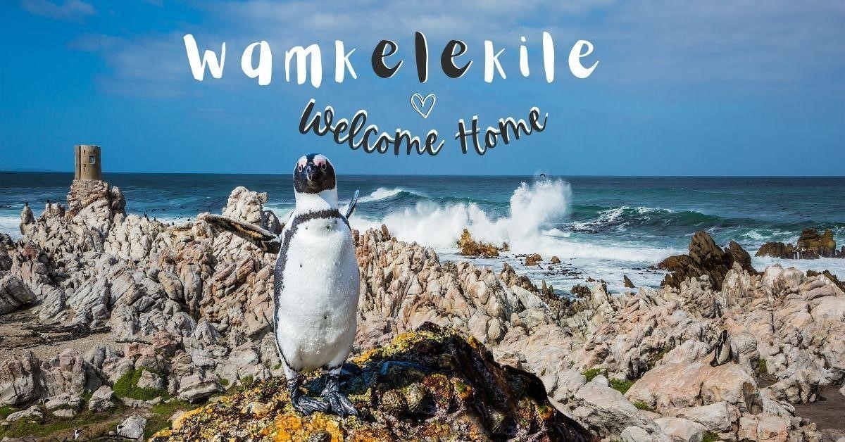 Living in South Africa | The Good, The Bad, and The Ugly