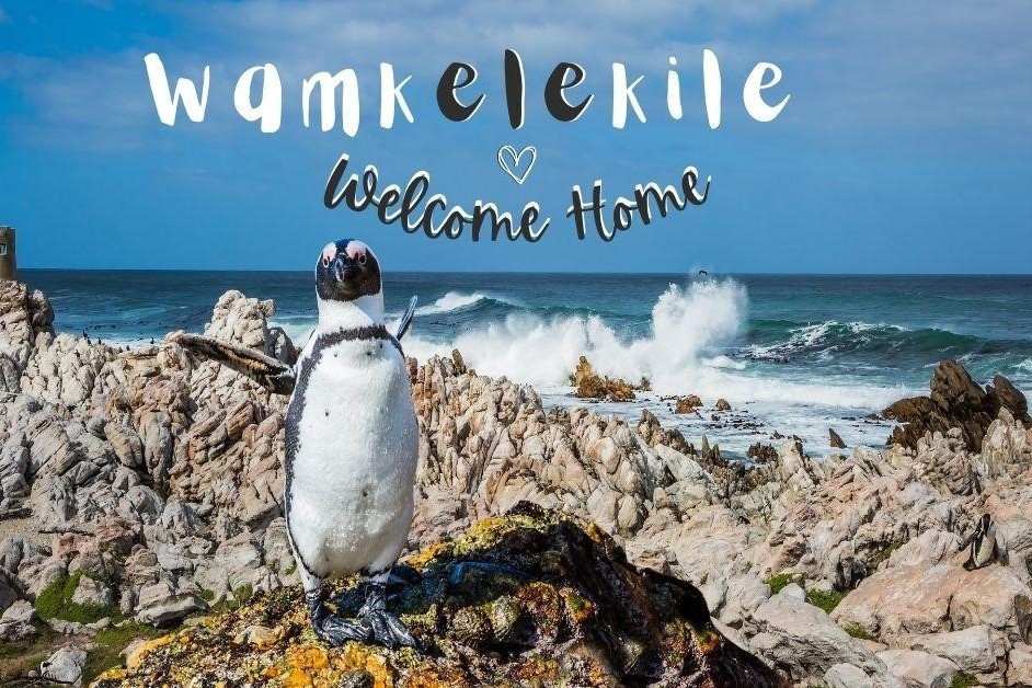 Living in South Africa | The Good, The Bad, and The Ugly