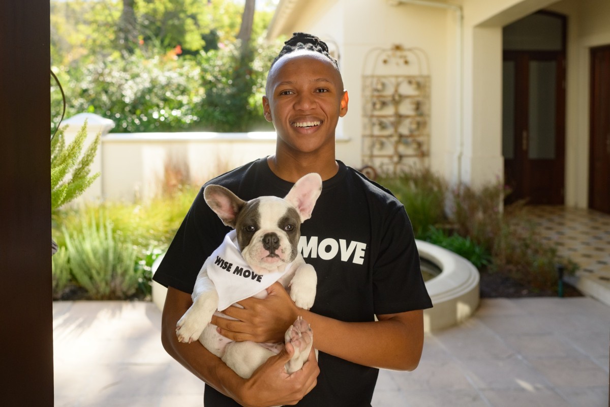 12 Tips For Moving Pets With Less Stress