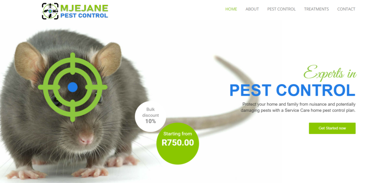 Top Pest Control Services in South Africa 2024