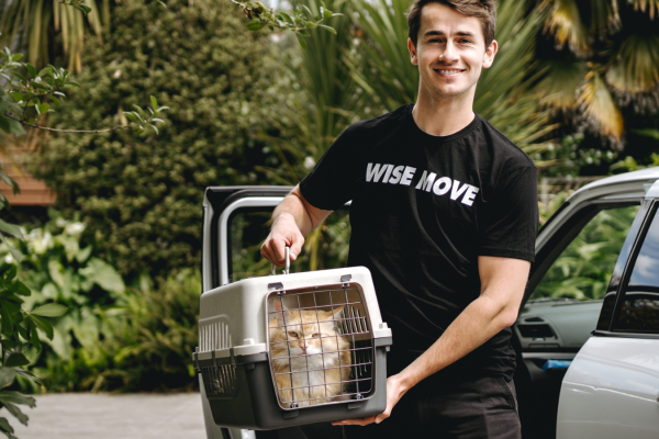 Moving with Cats | 10 Tips for a Purrfect Move