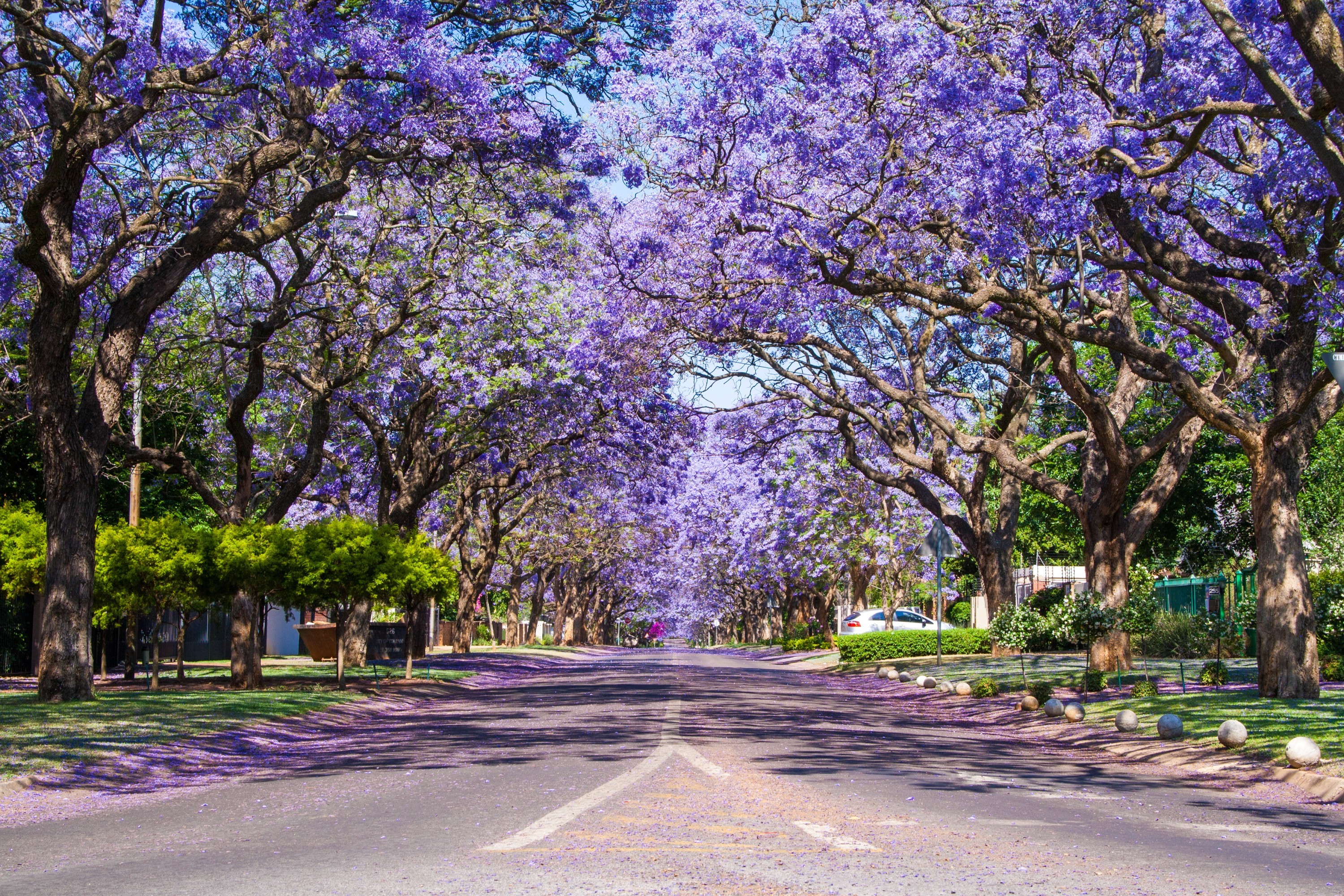 How much do you need to earn to live comfortably in Pretoria in 2025?