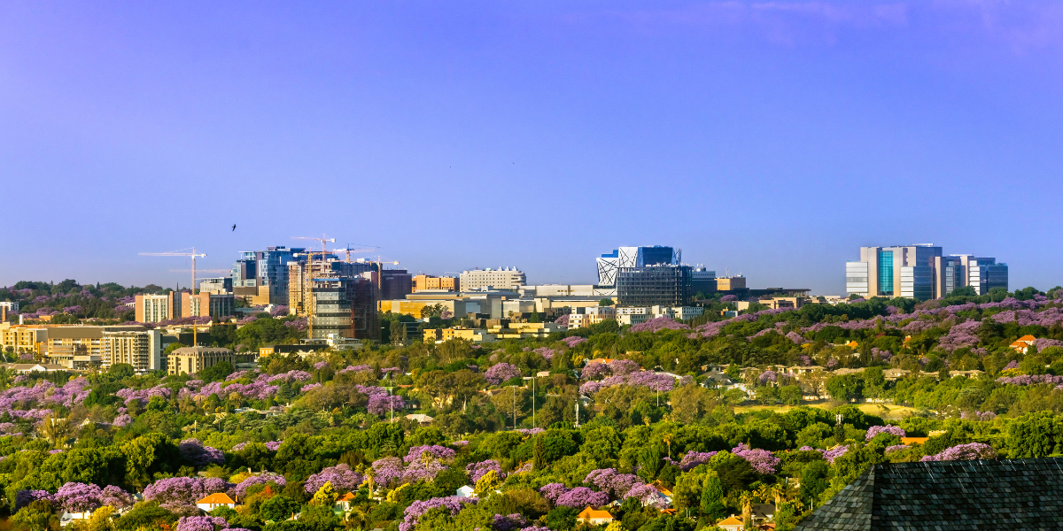 Rosebank Johannesburg