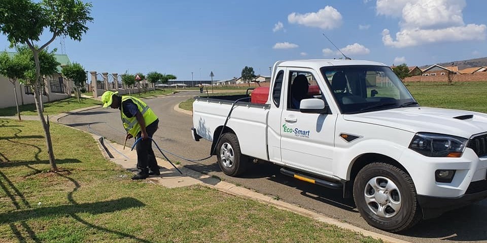 Top Pest Control Services in South Africa 2024