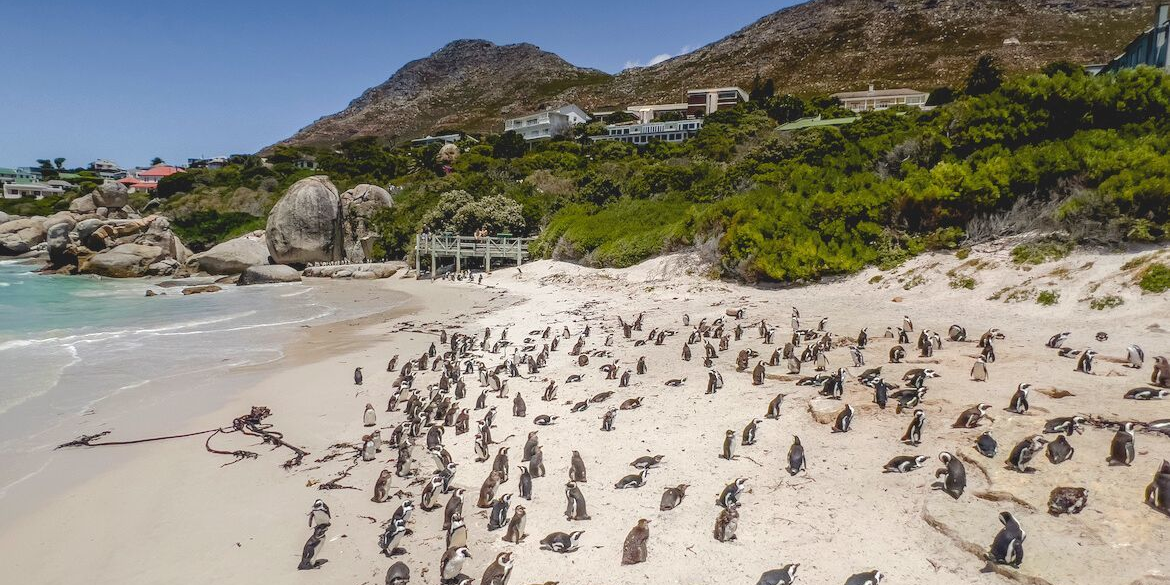 Best Beaches in South Africa