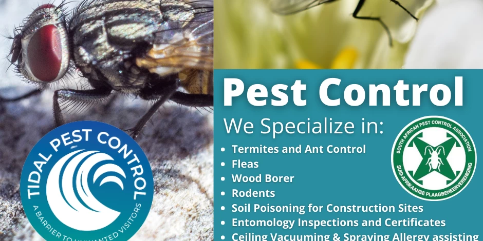 Pest Control South Africa