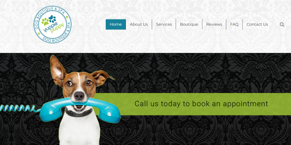 Best Pet Grooming Near Me South Africa