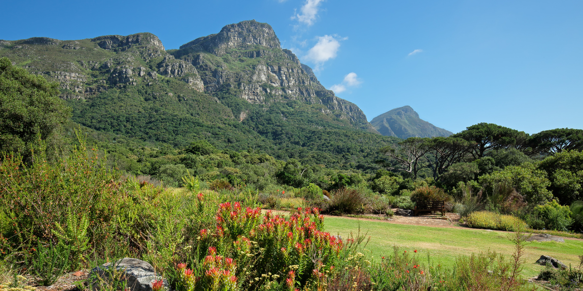 Kirstenbosch Gardens