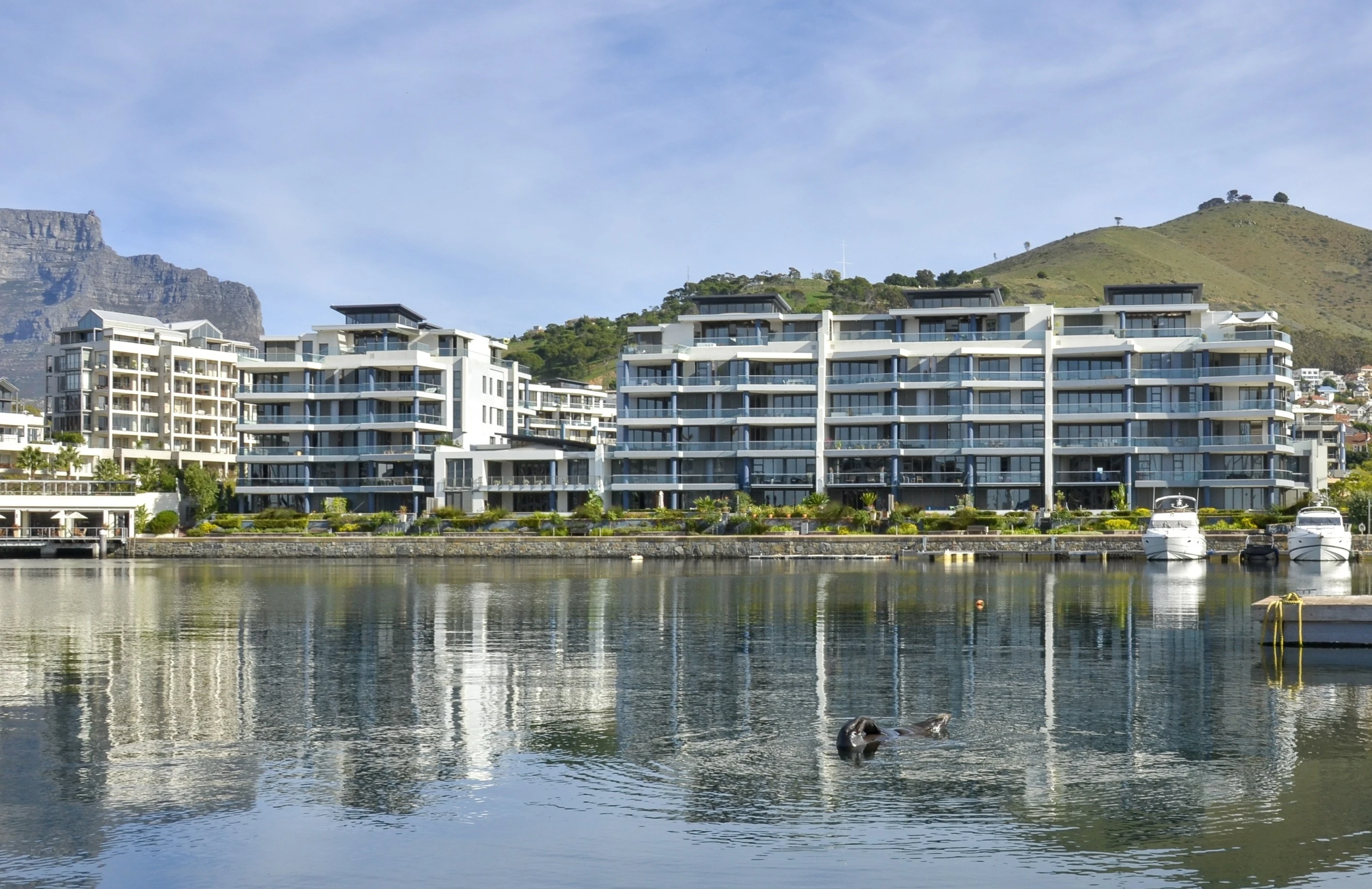 Where to live in Cape Town in 2025