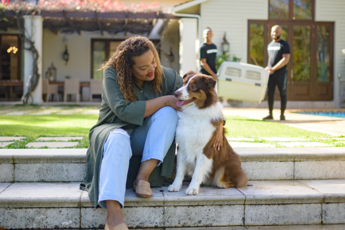 Where to adopt a cat or dog in Johannesburg