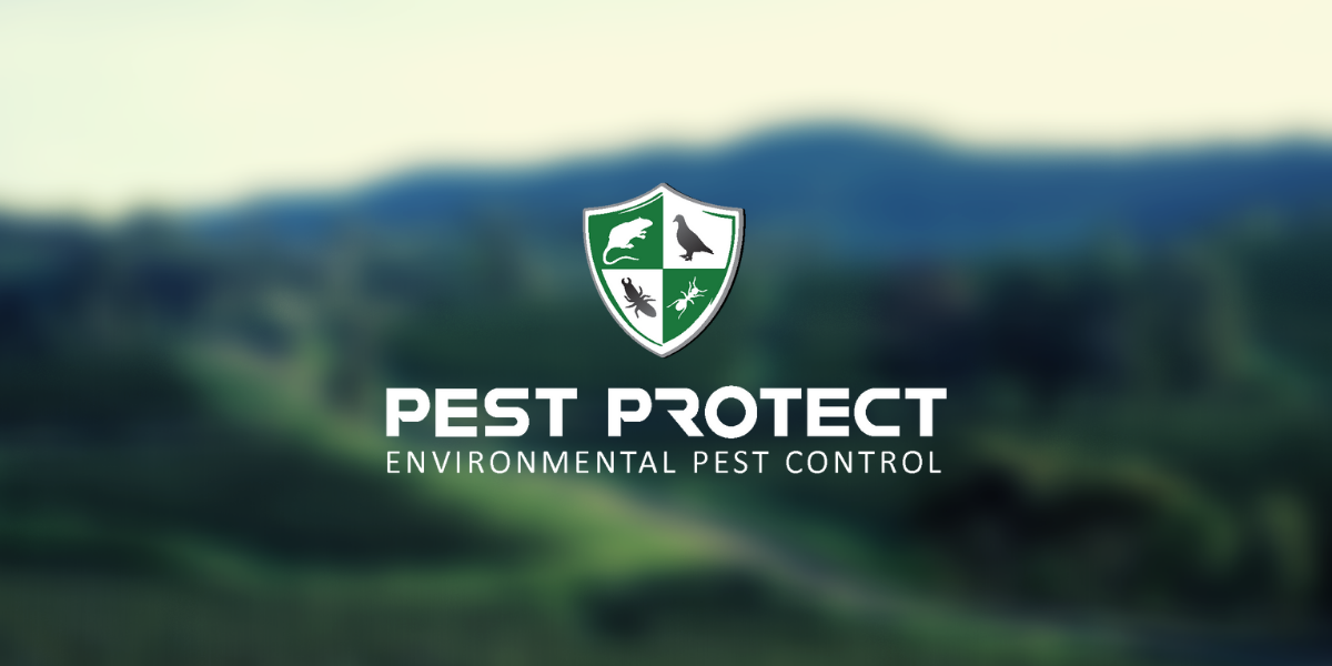 Top Pest Control Services in South Africa 2024