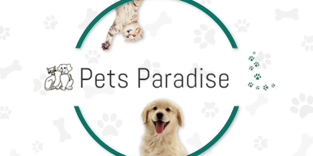 Pets Paradise Kennels South Africa