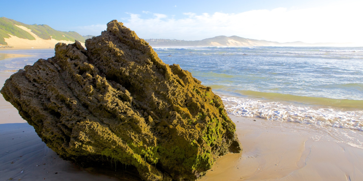 Best Beaches in South Africa