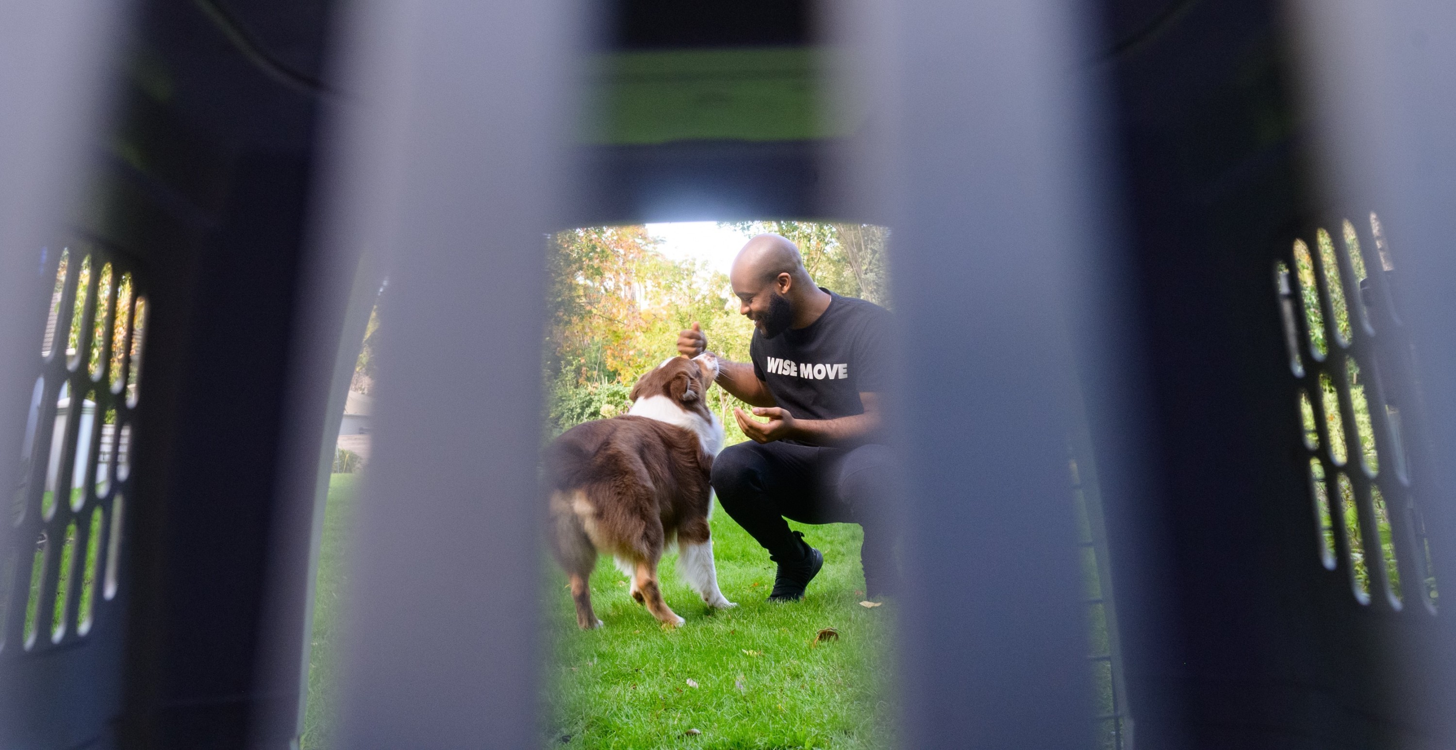 Flying with Pets | What You Need to Know