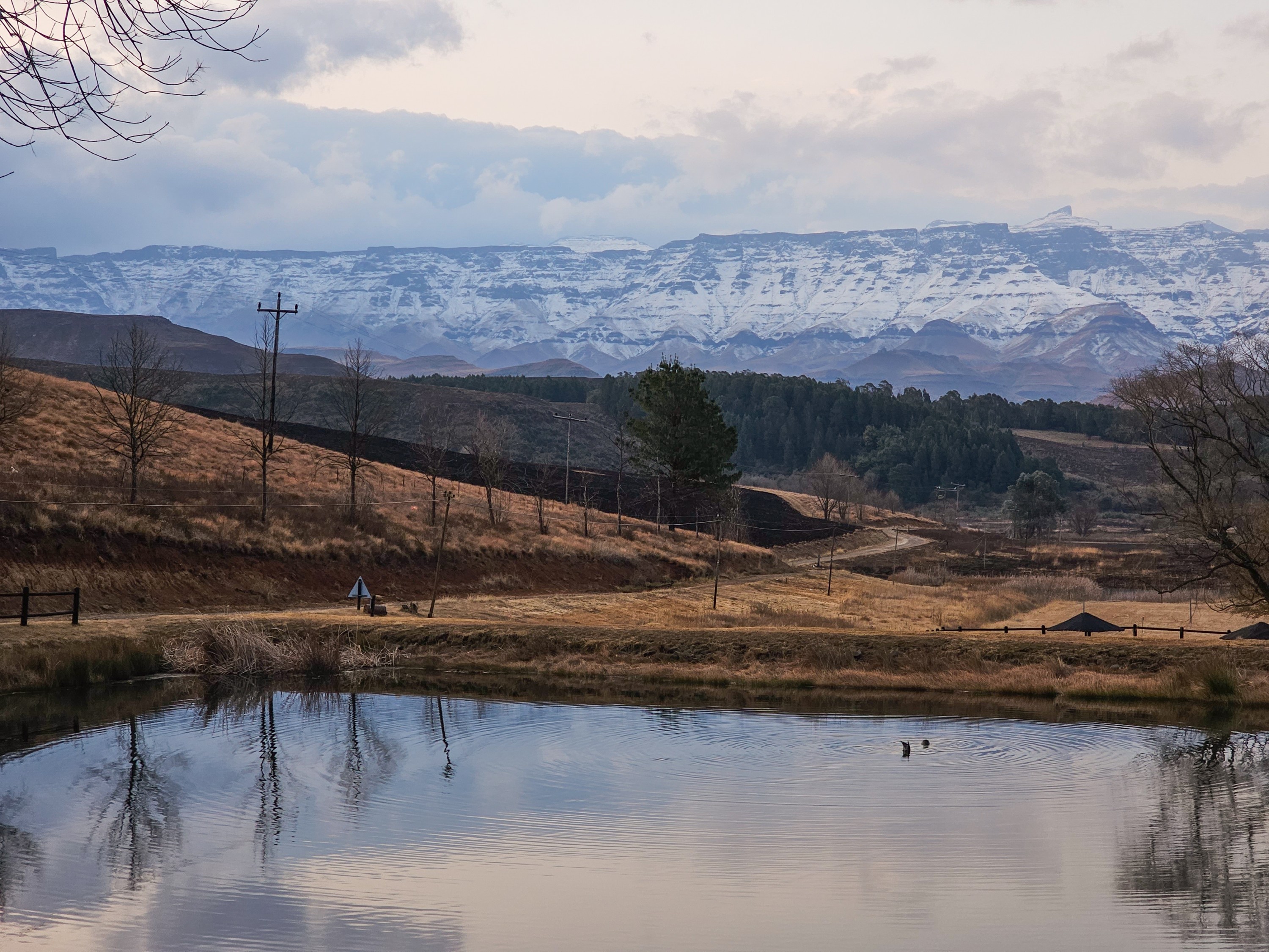 How to survive a South African winter