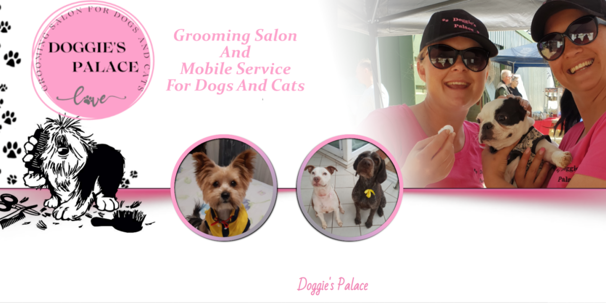 Best Pet Grooming Near Me South Africa