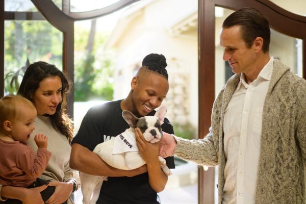 10 Best Places to Adopt a Dog or Cat in Cape Town