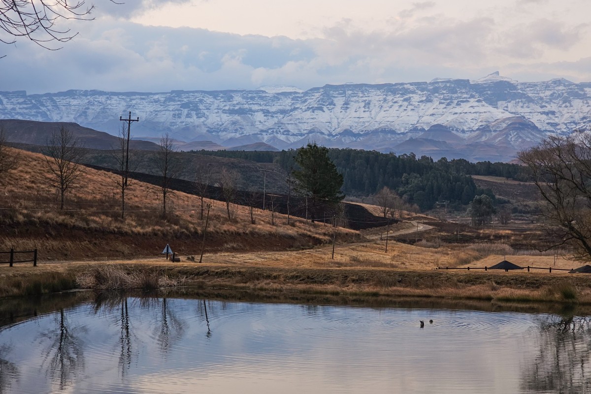 How to survive a South African winter