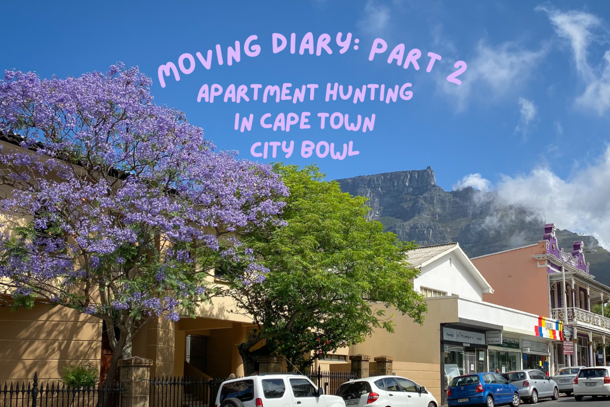 What apartment hunting in Cape Town is really like