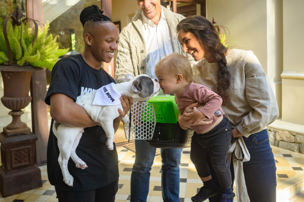 Guide to Pet Adoption in South Africa | What You Need to Know