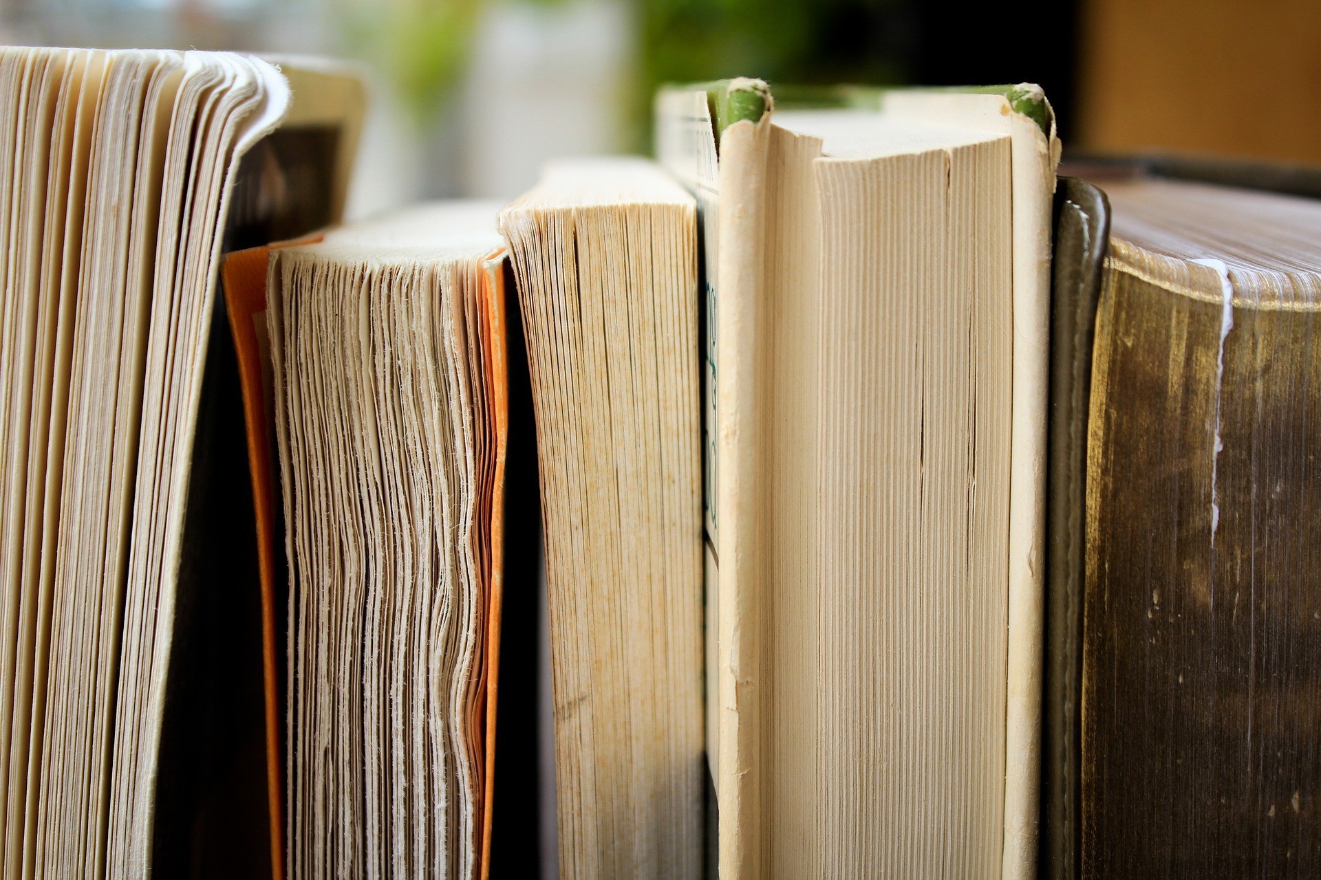 South Africa's Literary Legends: A Journey Through SA Literature South Africa's Literary Legends: A Journey Through SA Literature