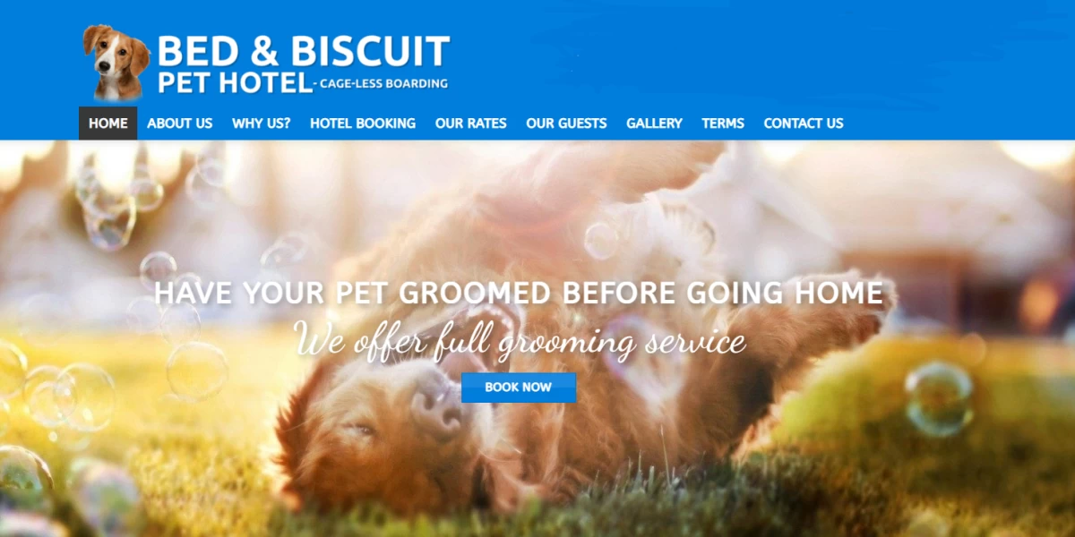 Bed and Biscuit Pet Hotel South Africa