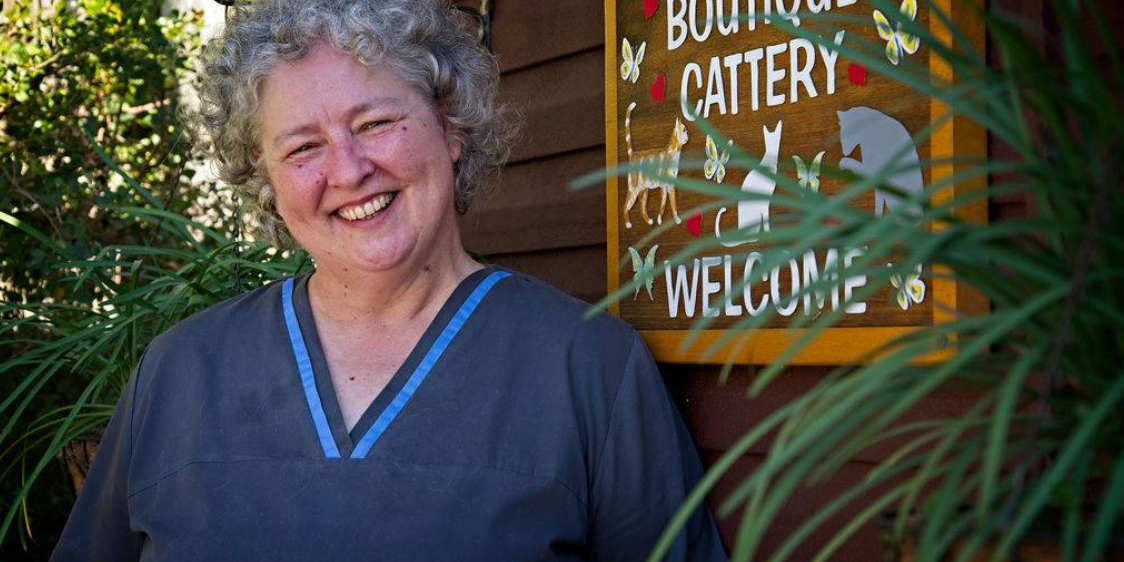 Top Cattery Near Me Make Moving StressFree for your Cat