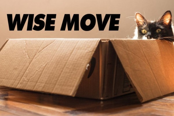 Professionele Verhuisingsmaatskappye se Diens is die Sout Werd | Hier is Hoekom