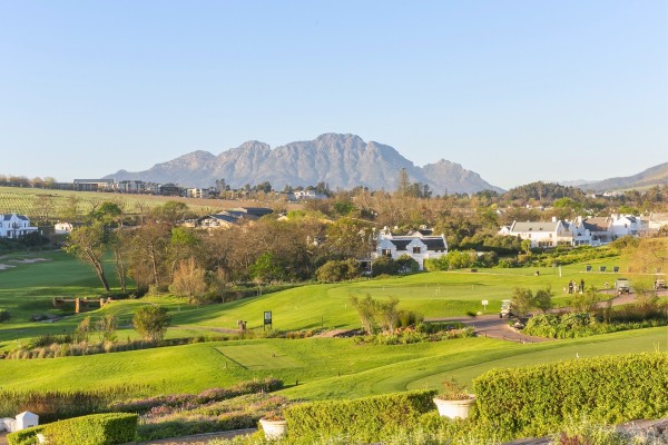 Discover the top 11 estates in the Cape Winelands