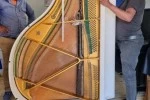 Mover image