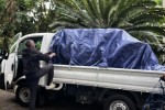 Mover image