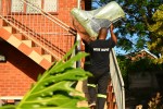 Mover image