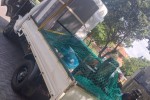 Mover image